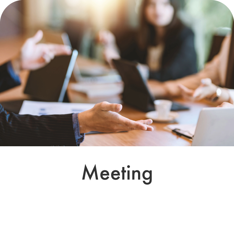 Meeting